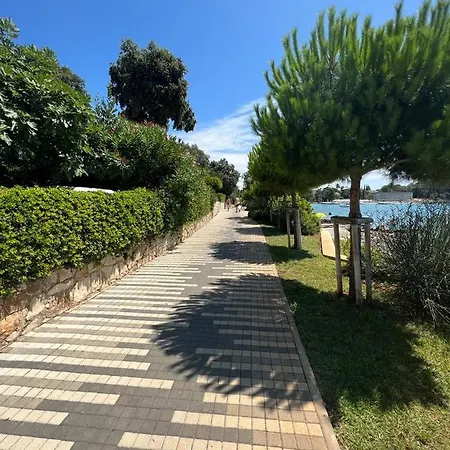 Villa Salteria 3, Pool, Private Territory, Pinery Rovinj Exterior photo