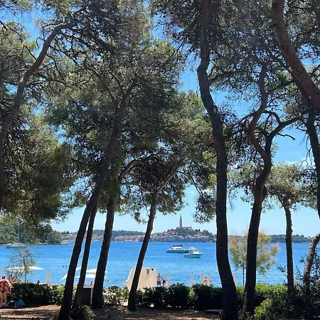 Villa Salteria 3, Pool, Private Territory, Pinery Rovinj Exterior photo
