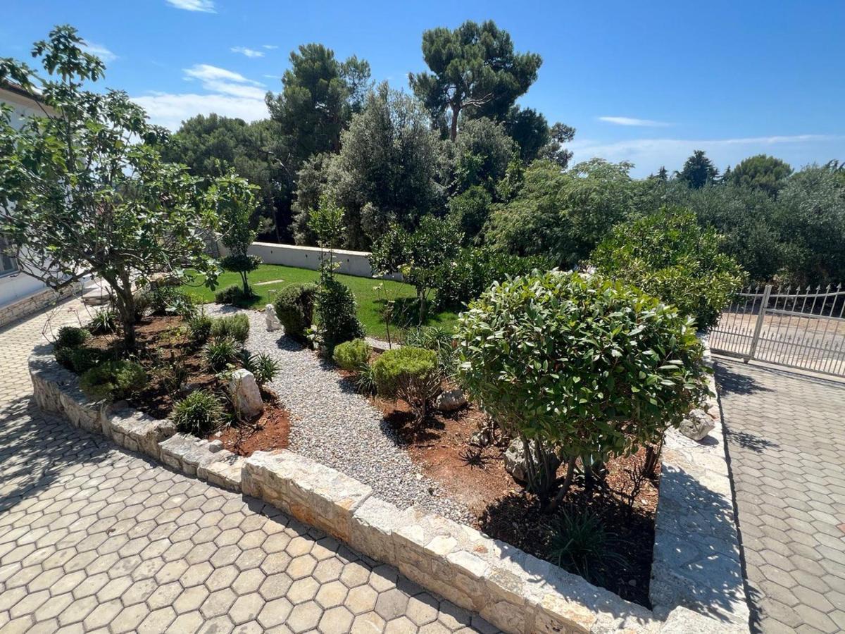 Salteria 3, Pool, Private Territory, Pinery Villa Rovinj